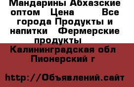 Мандарины Абхазские оптом › Цена ­ 19 - Все города Продукты и напитки » Фермерские продукты   . Калининградская обл.,Пионерский г.